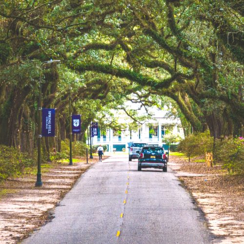 livable-mobile-affluent-tranquil-street